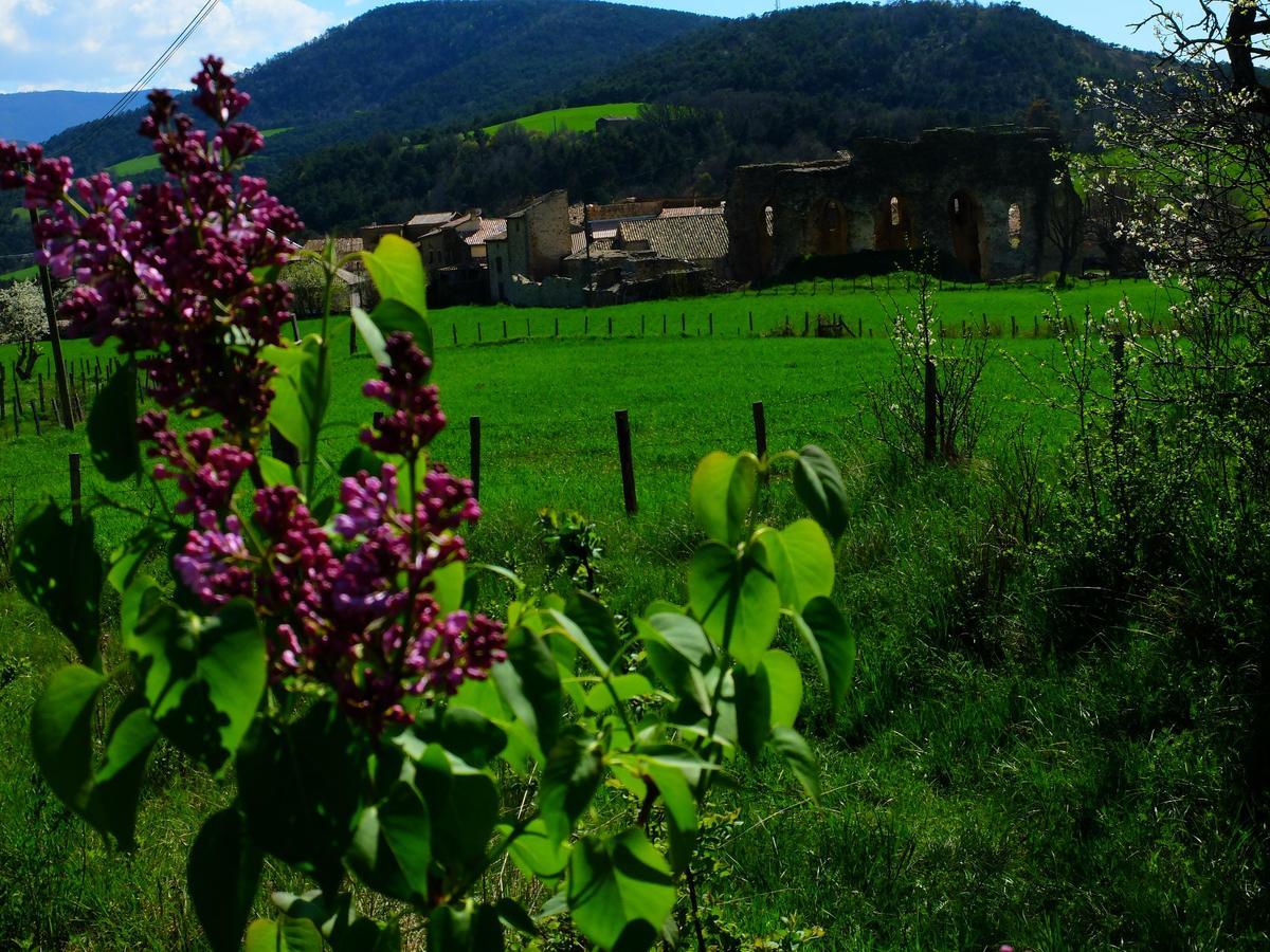 Du Prieure * Saint-Andre-de-Rosans